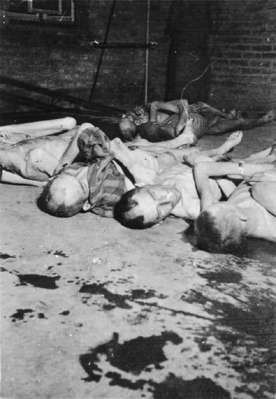 corpses outside the Mauthausen crematorium